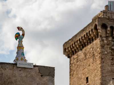Lo scorso 31 luglio a Rutigliano � stato inaugurato �Galloforie�, un museo a cielo aperto creato con lo scopo di riportare l�attenzione sul mondo dell�arte ceramistica